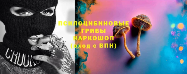сатива Белоозёрский