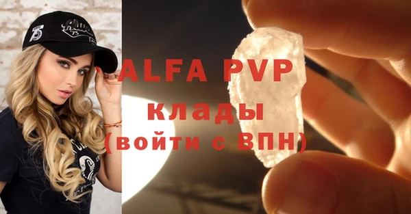 ешки Белокуриха