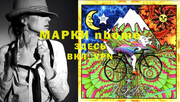 ешки Белокуриха