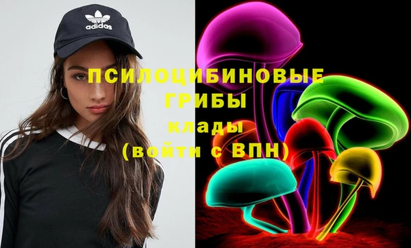 ешки Белокуриха